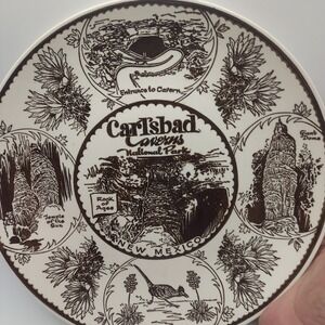 Carlsbad Caverns National Park Souvenir Plate New Mexico Enco‎ National
